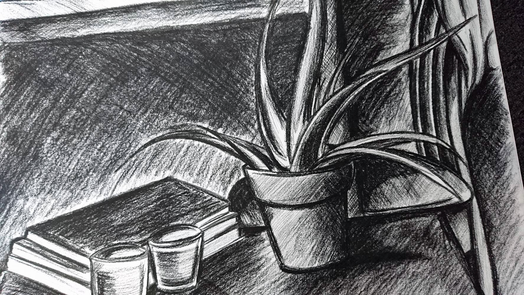 13161190_10156817187820043_582208369_o